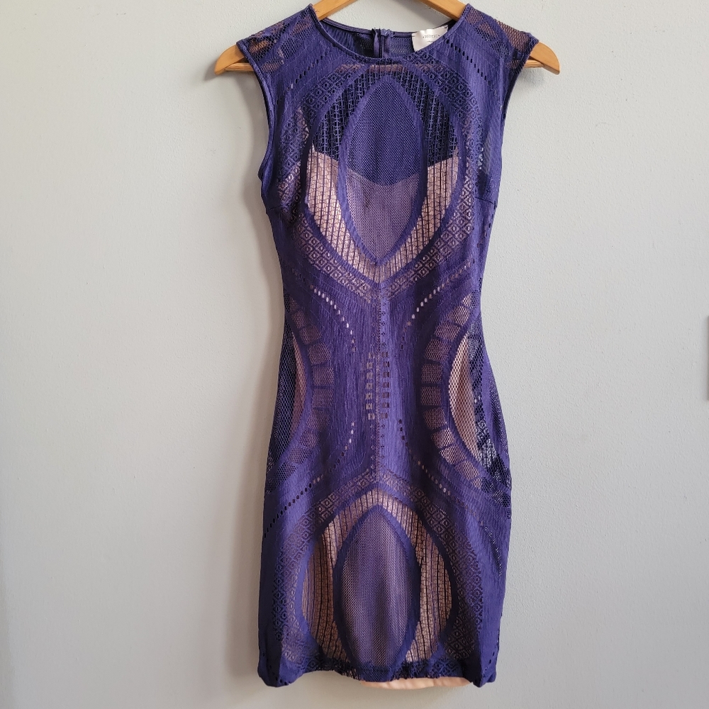 Beautiful Form Flattering Purple Dress Size S